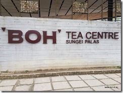 BOH Tea Factory