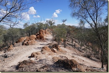 Quilpie Baldy Top Lookout