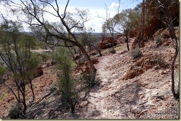 Quilpie Baldy Top Lookout