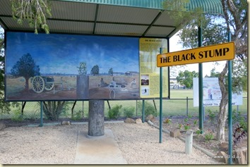 Blackall Black Stump