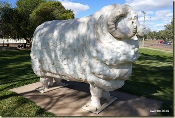 190519 043 Blackall Ram Park and Museum