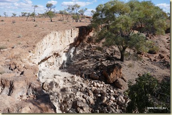 Along the John Egan Track