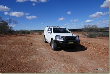 Along the John Egan Track