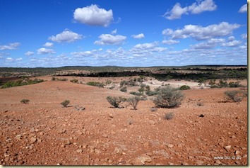 Along the John Egan Track