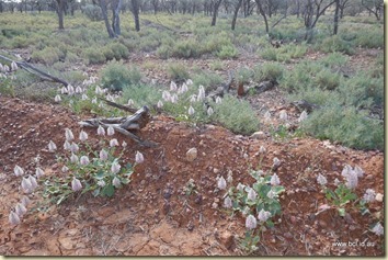 190521 036 Stonehenge The John Egan Track