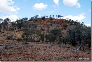 Baldy Top Lookout