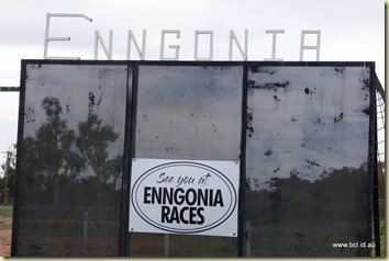 Enngonia