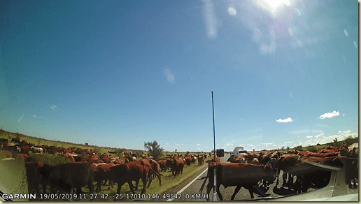 vlcsnap-2019-05-20-07h27m10s374