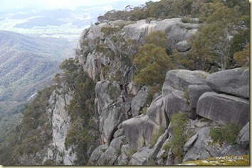 Mt Buffalo Lookout