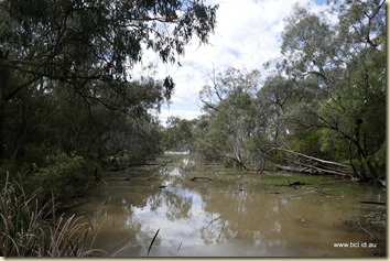 Gunbower Creek