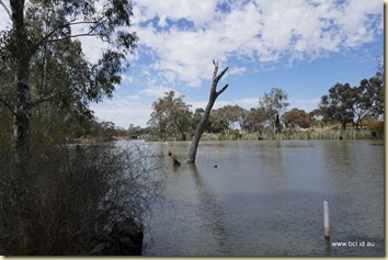 Gunbower Creek