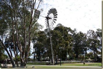 Swan Hill Murray River Cruise