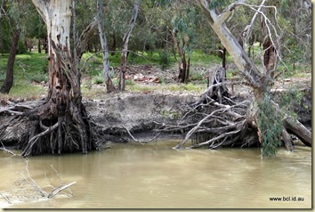 Swan Hill Murray River Cruise