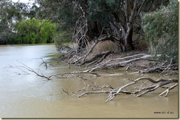 191015 083 Swan Hill