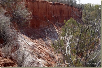 Red Cliffs Murray River