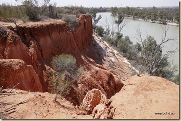Red Cliffs Murray River