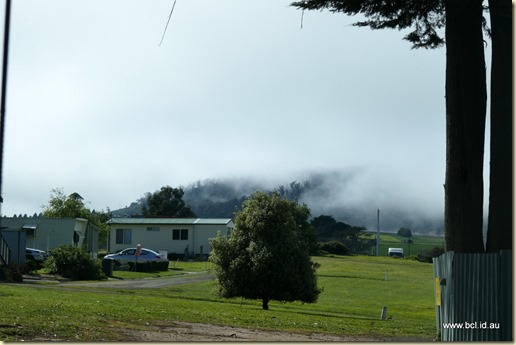 Shady Acres Caravan Park