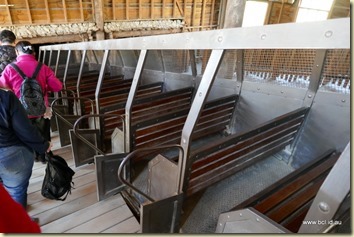 Sovereign Hill Gold Mine Tour