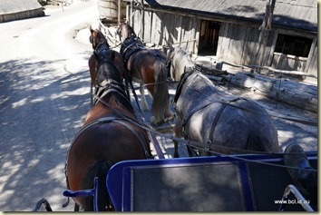 Sovereign Hill Ballarat Carriage Ride