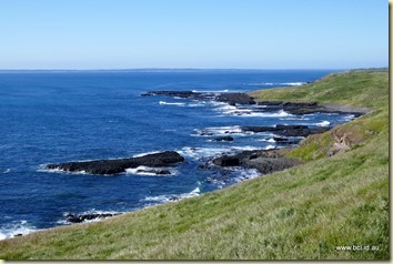 The Nobbies Phillip Island The Nobbies Phillip Island