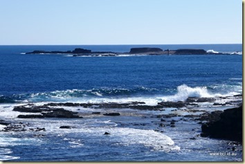 The Nobbies Phillip Island The Nobbies Phillip Island