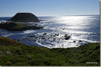 The Nobbies Phillip Island The Nobbies Phillip Island