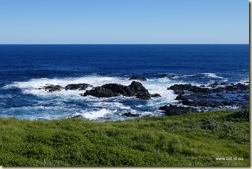 The Nobbies Phillip Island The Nobbies Phillip Island