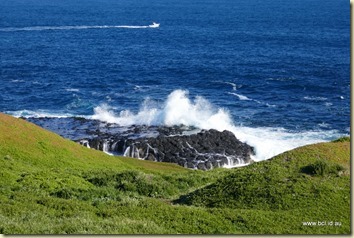 The Nobbies Phillip Island The Nobbies Phillip Island