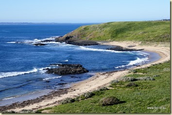 The Nobbies Phillip Island The Nobbies Phillip Island