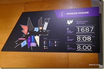 Penguin Parade Phillip Island Penguin Parade Phillip Island