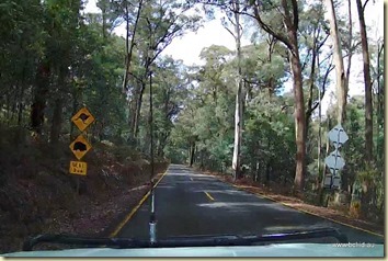 Mt Buffalo Rd