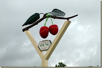 Young - Cherry Sign