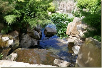 Chinese Tribute Garden