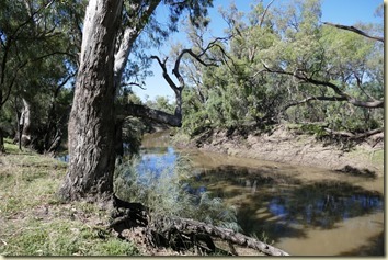 Lake Cargelligo Weir