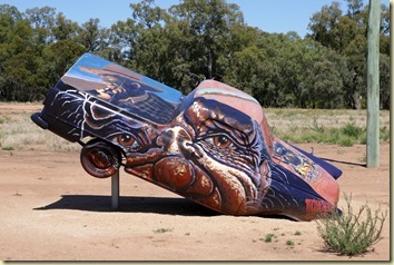 Utes in the Paddock Condobolin