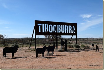 Tiboobura