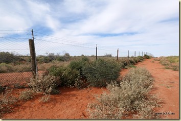 Camerons Corner the Dog Fence