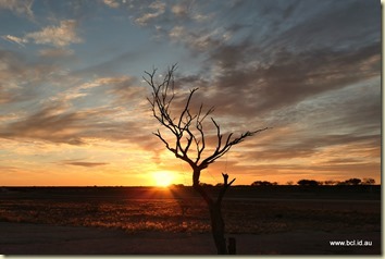 Sunset at Camerons Corner