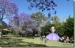 Grafton Jararanda Fesival - See Park