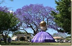 Grafton Jararanda Fesival - See Park