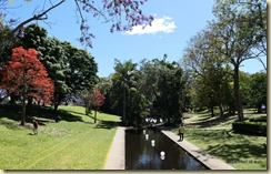 Grafton Jararanda Fesival - See Park