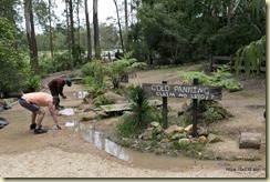Timbertown Wauchope