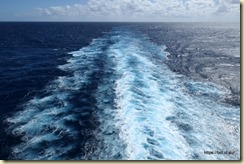 View From Oasis Pool Adults Only Area