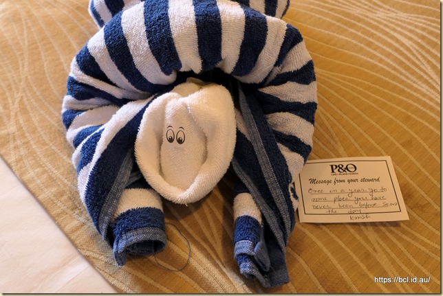 221220 042 Pacific Adventure