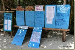 Pacific Adventure Mystery Island