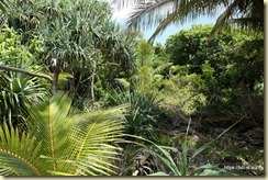 Pacific Adventure Mystery Island