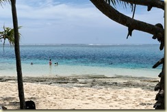 Pacific Adventure Mystery Island