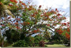 Luganville Relics Tour