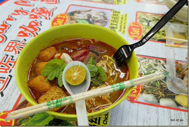 Curried Pork Noodles