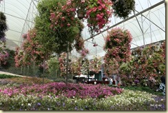 Flora Park Cameron Highlands